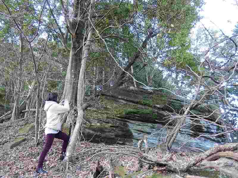 f0182513_2343382.jpg