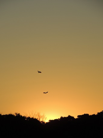 f0150620_7114741.jpg