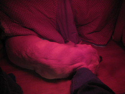 e0244621_11083484.jpg