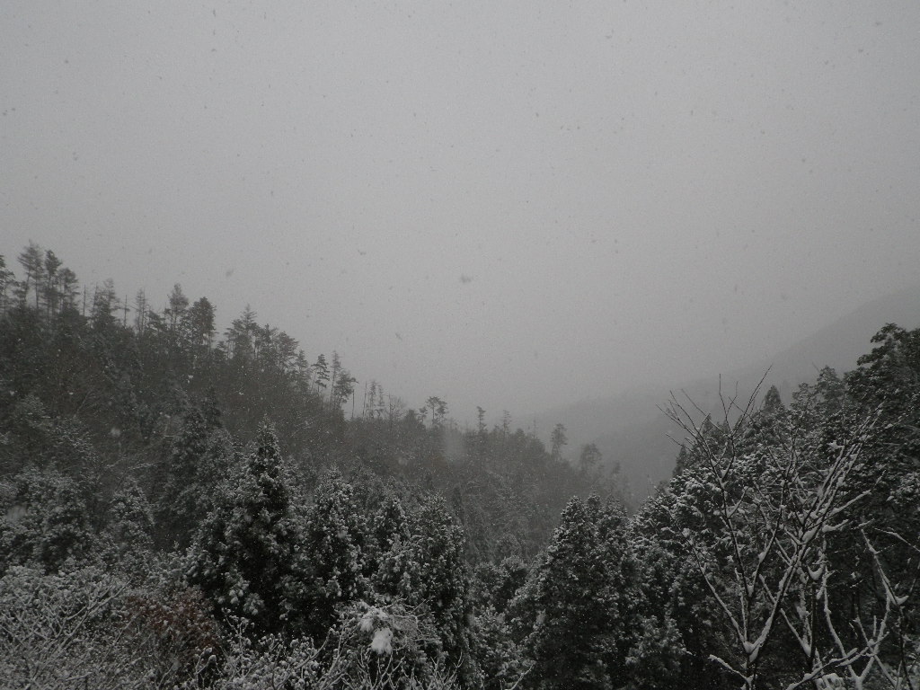 c0189724_14401953.jpg