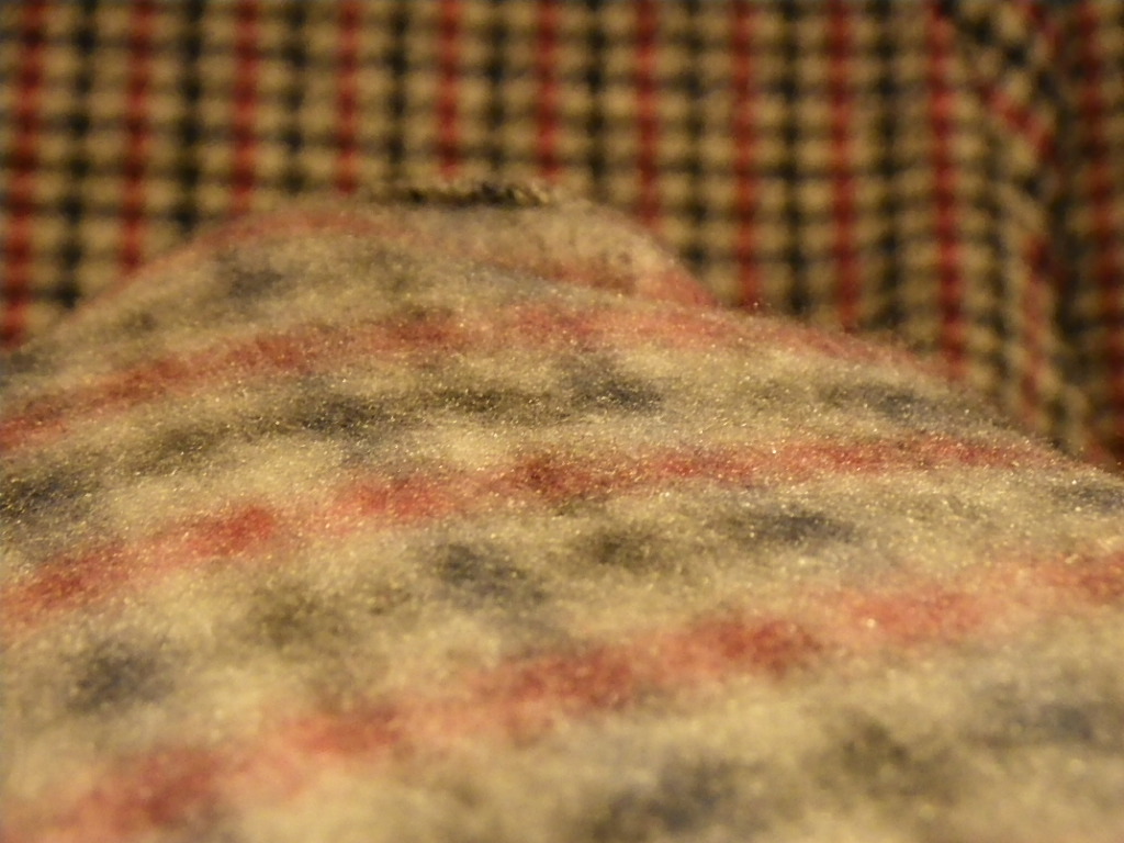 c0189724_1794960.jpg