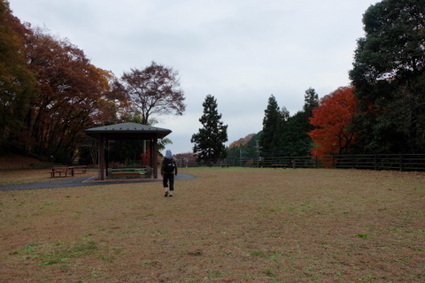 b0281732_6172079.jpg