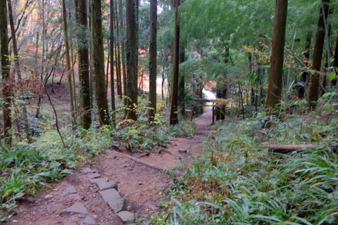 b0281732_6173845.jpg