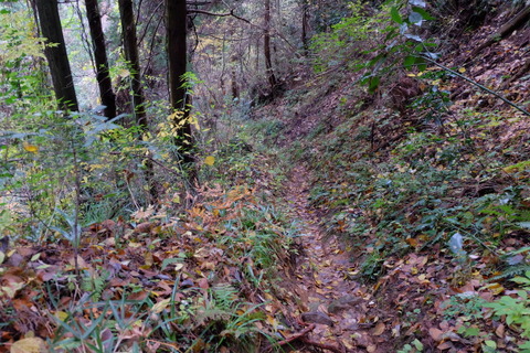 b0281732_6174429.jpg