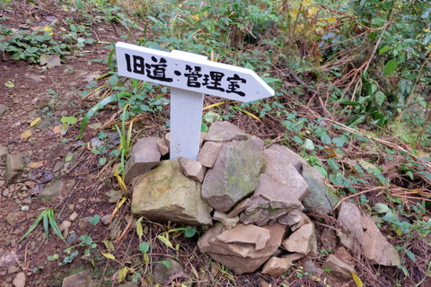 b0281732_617514.jpg