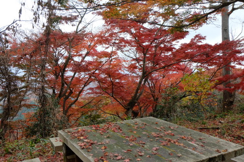 b0281732_6181799.jpg