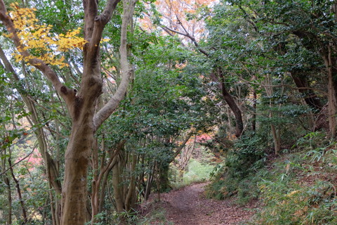 b0281732_6183123.jpg