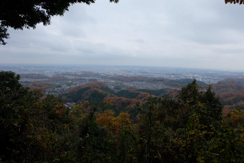 b0281732_6183855.jpg