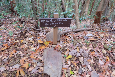 b0281732_619412.jpg