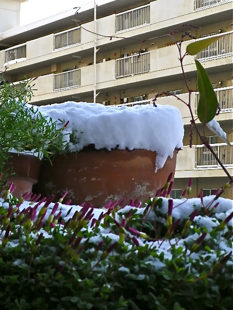 b0027736_12435825.jpg