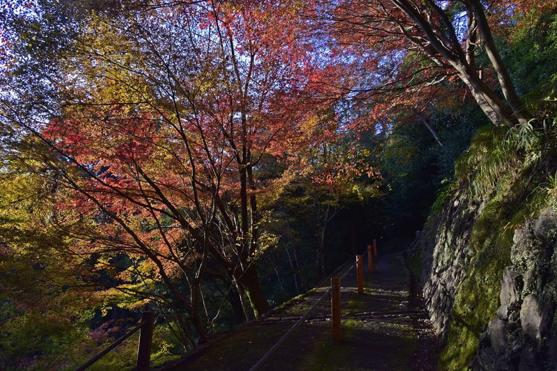 b0042837_21145566.jpg