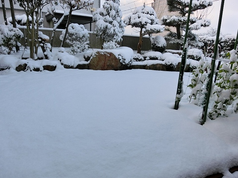d0138650_11535541.jpg