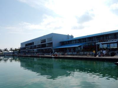 d0224362_1553553.jpg