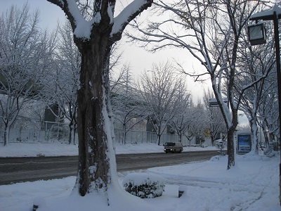 b0259063_1924136.jpg