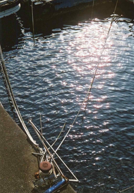 c0082066_2134229.jpg