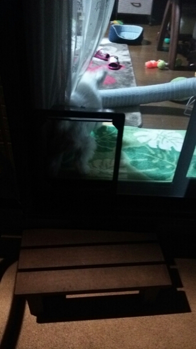 c0348784_2041195.jpg
