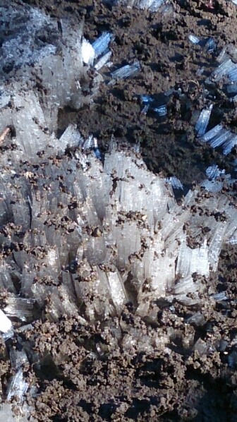 e0046305_17342787.jpg