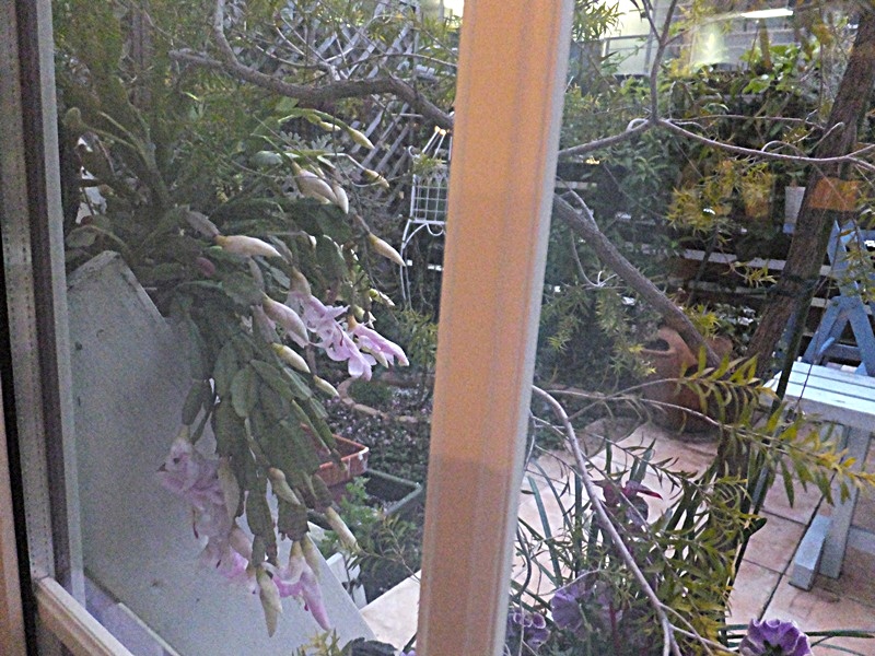 f0035506_1031211.jpg