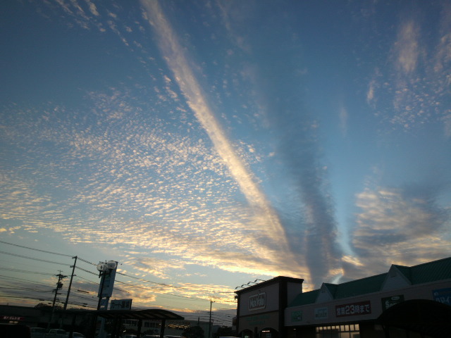 e0099212_227101.jpg