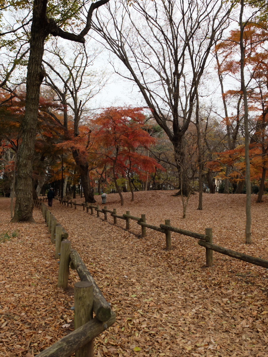 f0218012_206198.jpg