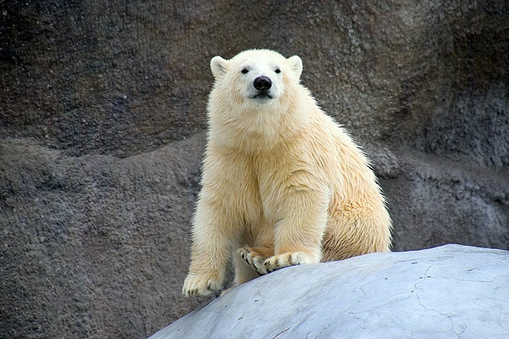 a0151913_235056.jpg