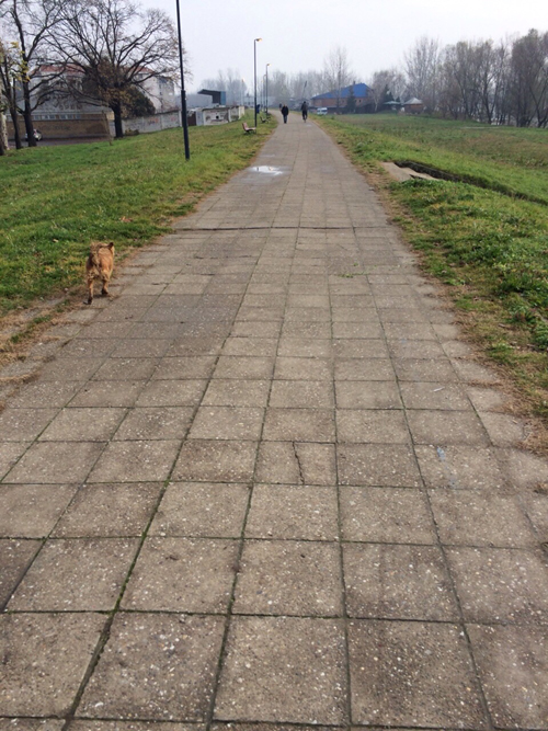 a0096015_9263755.jpg