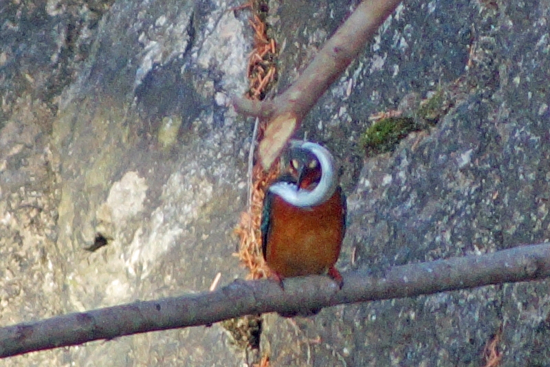 c0042418_9295998.jpg