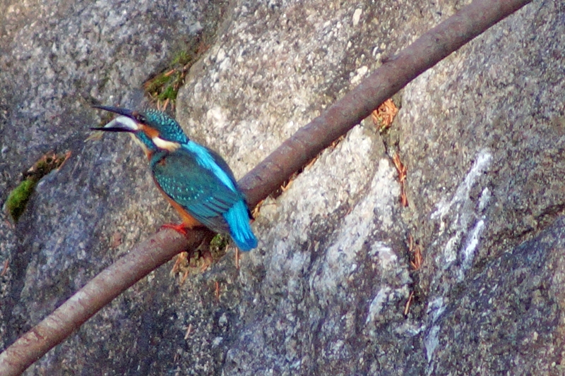c0042418_9301368.jpg
