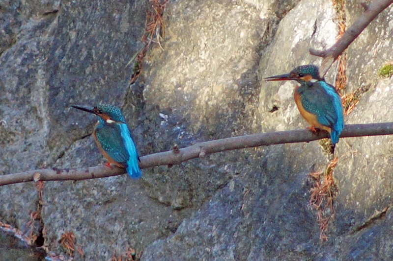 c0042418_9314936.jpg