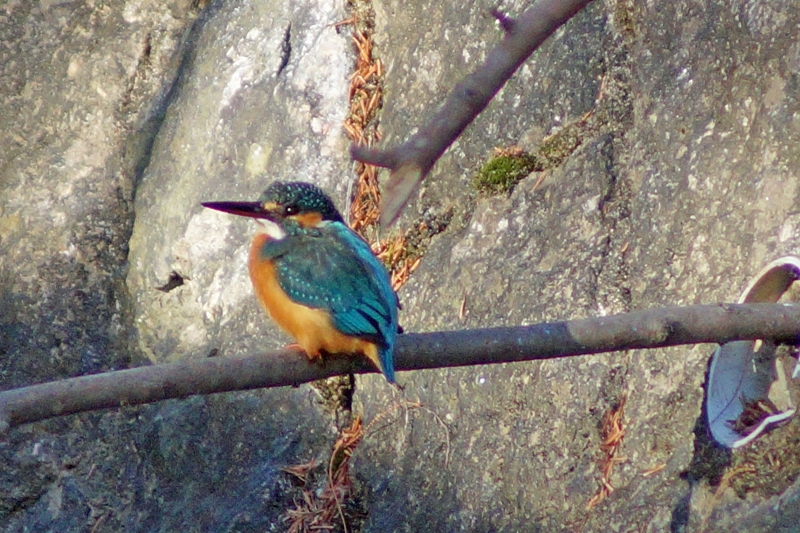 c0042418_9343760.jpg