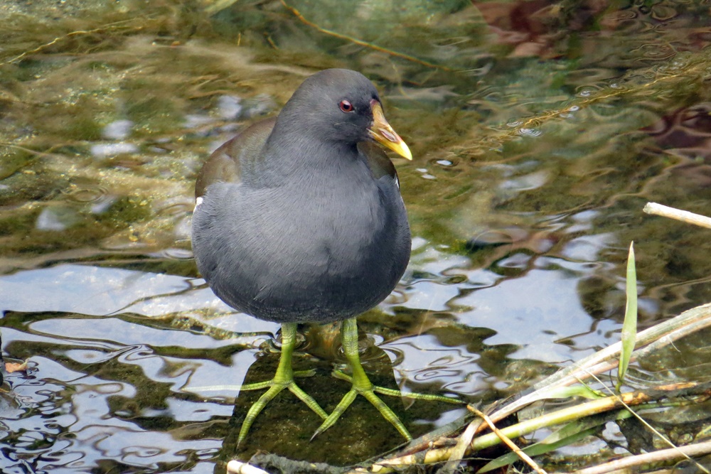 f0310221_20123843.jpg