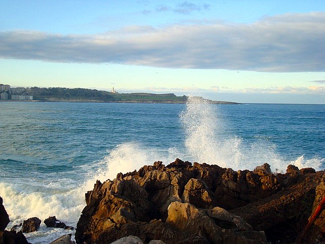 a0019022_6584525.jpg