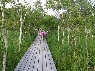 f0200036_1614923.jpg