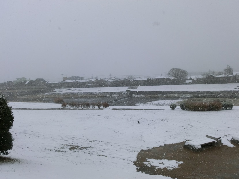 f0237037_110767.jpg