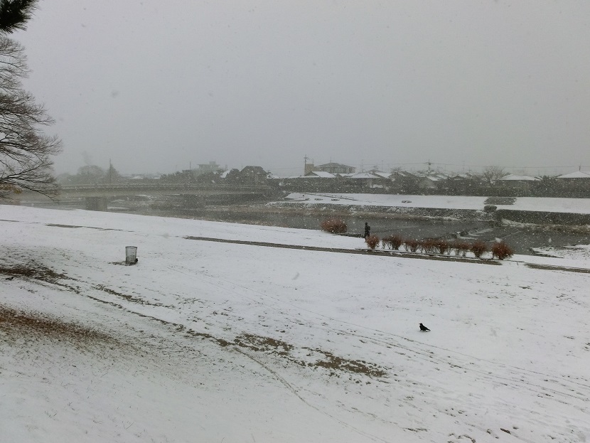 f0237037_1113850.jpg