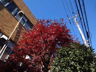 f0141840_00532430.jpg