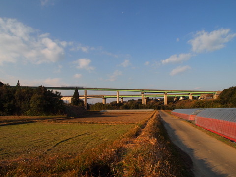 b0199742_2165796.jpg