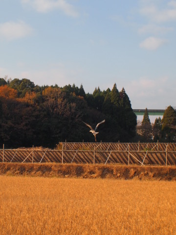 b0199742_218238.jpg