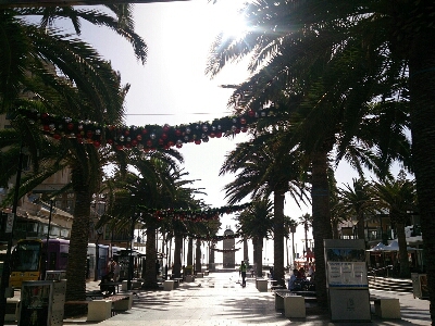 d0068151_18243342.jpg