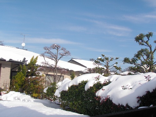 c0327752_14172186.jpg