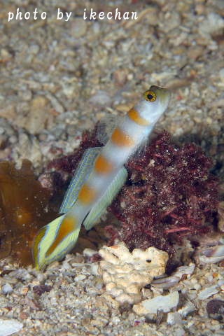 a0155467_19243867.jpg
