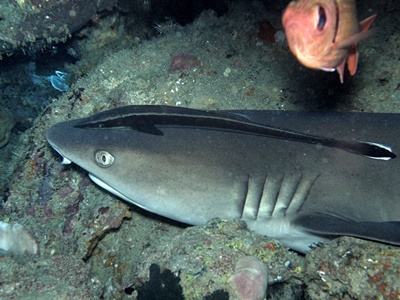 b0033573_17281316.jpg
