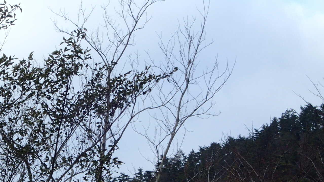 e0024081_19255984.jpg