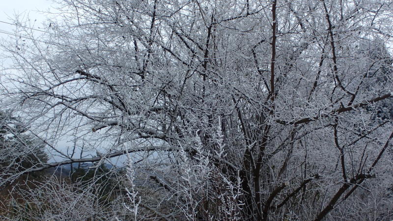 e0024081_19344116.jpg