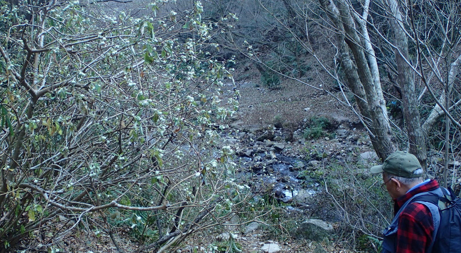 e0024081_19544223.jpg