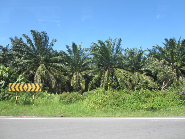 f0013998_13142745.jpg