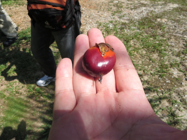 f0013998_13162395.jpg