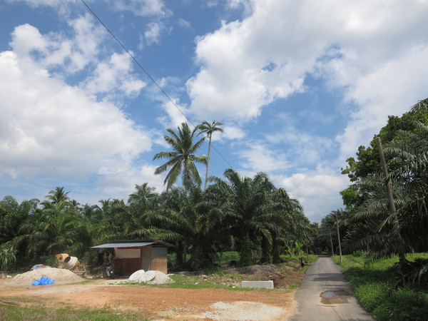 f0013998_13182329.jpg
