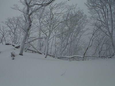 b0326303_14050463.jpg
