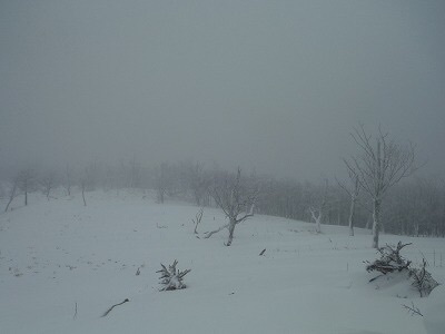 b0326303_14063321.jpg